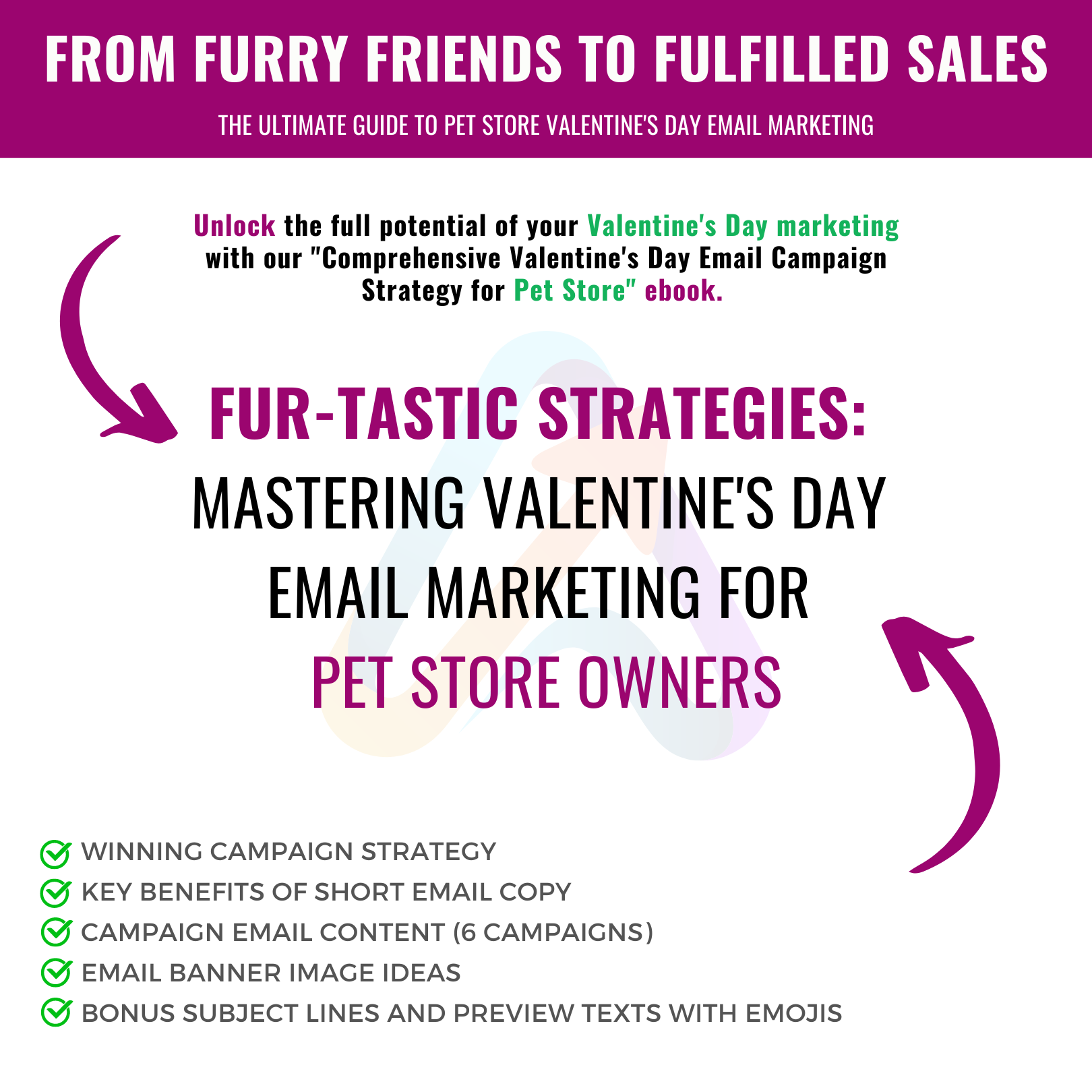 Fur-tastic Strategies:Mastering Valentine's Day Email Marketing for Pet Store Owners - Aurora Studio